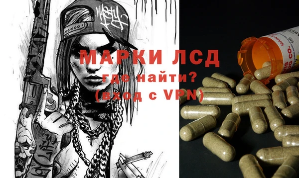 твердый Магадан