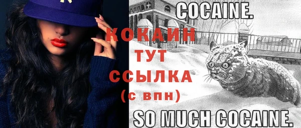твердый Магадан
