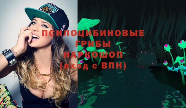 мдпв Магас