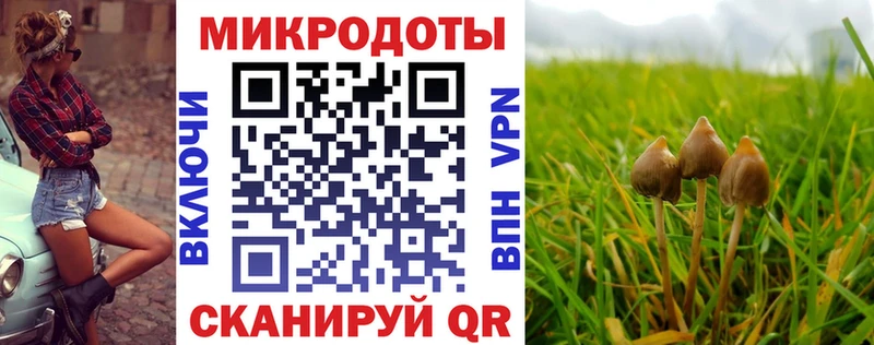 Галлюциногенные грибы GOLDEN TEACHER где найти наркотики Томмот